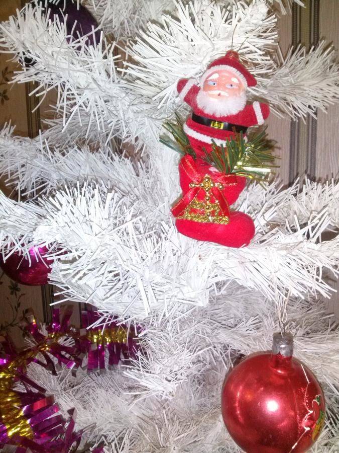 Фотографии номера Двухместный номер с 2 отдельными кроватями, вид на сад в Гостевом доме Guest House on Frunze Полоцк